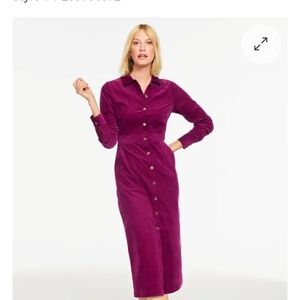 Talbots Rich Purple Long Sleeve Dress